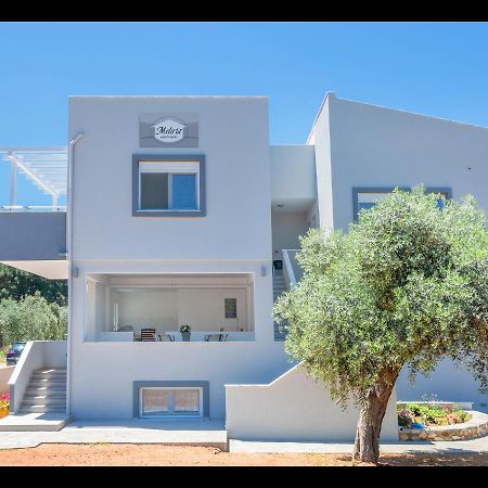 Meliria Apartments Skala Rachoni  エクステリア 写真